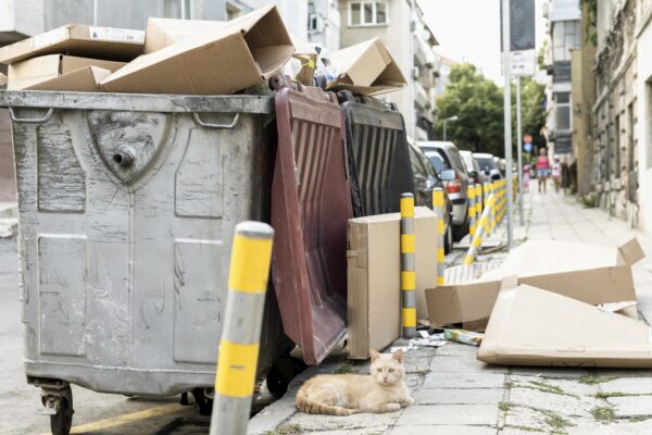 Mastering the Mess: Essential Guide to Pooper Scoopers and Pet Waste Management in 2025 The Ultimate Guide to Hassle-Free Pet Waste Management