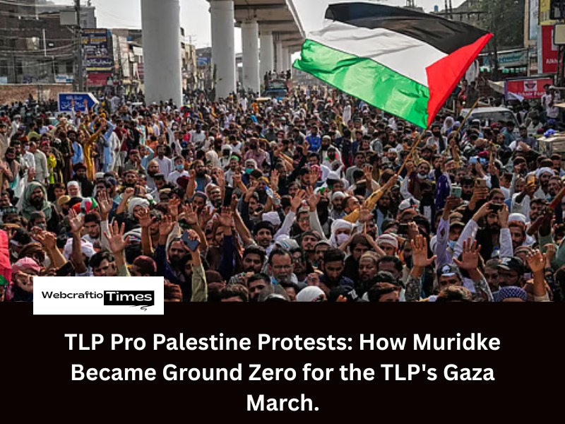 a poster image showcasing protester of TLP